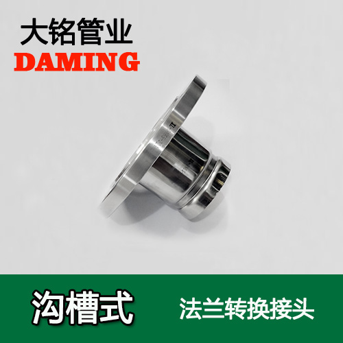 DN200 沟槽式午夜天堂网法兰转换直通接头（304 316L）