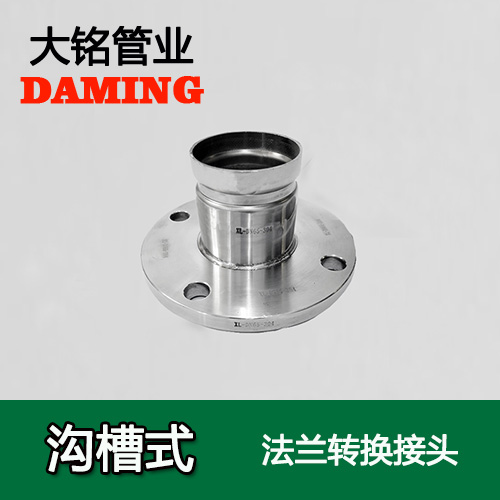 DN250 沟槽式午夜天堂网法兰转换直通接头（304 316L）