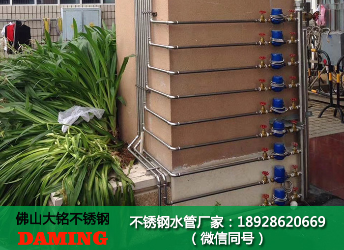 拉萨午夜天堂网水管代理加盟