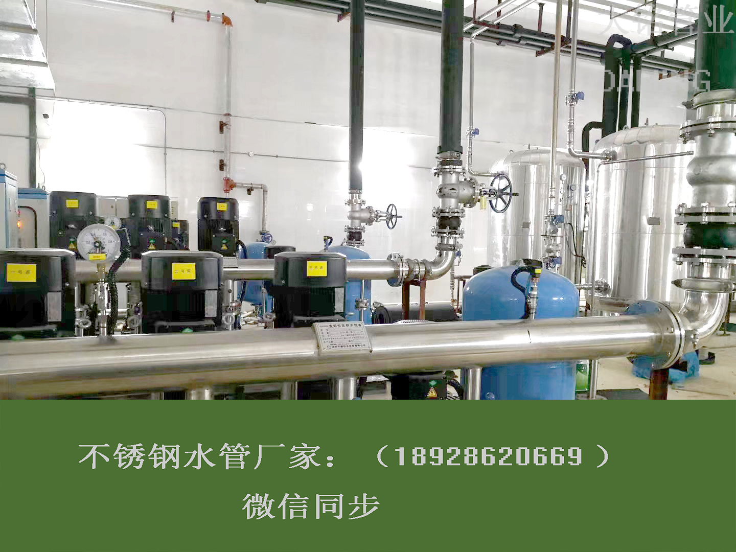 广东环压午夜天堂网午夜影院网站