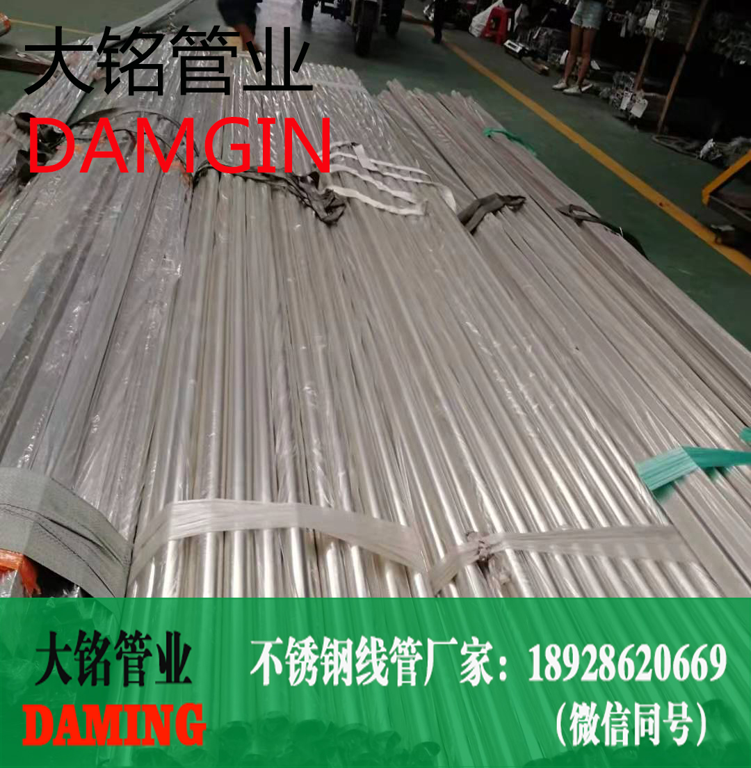 午夜天堂网线管