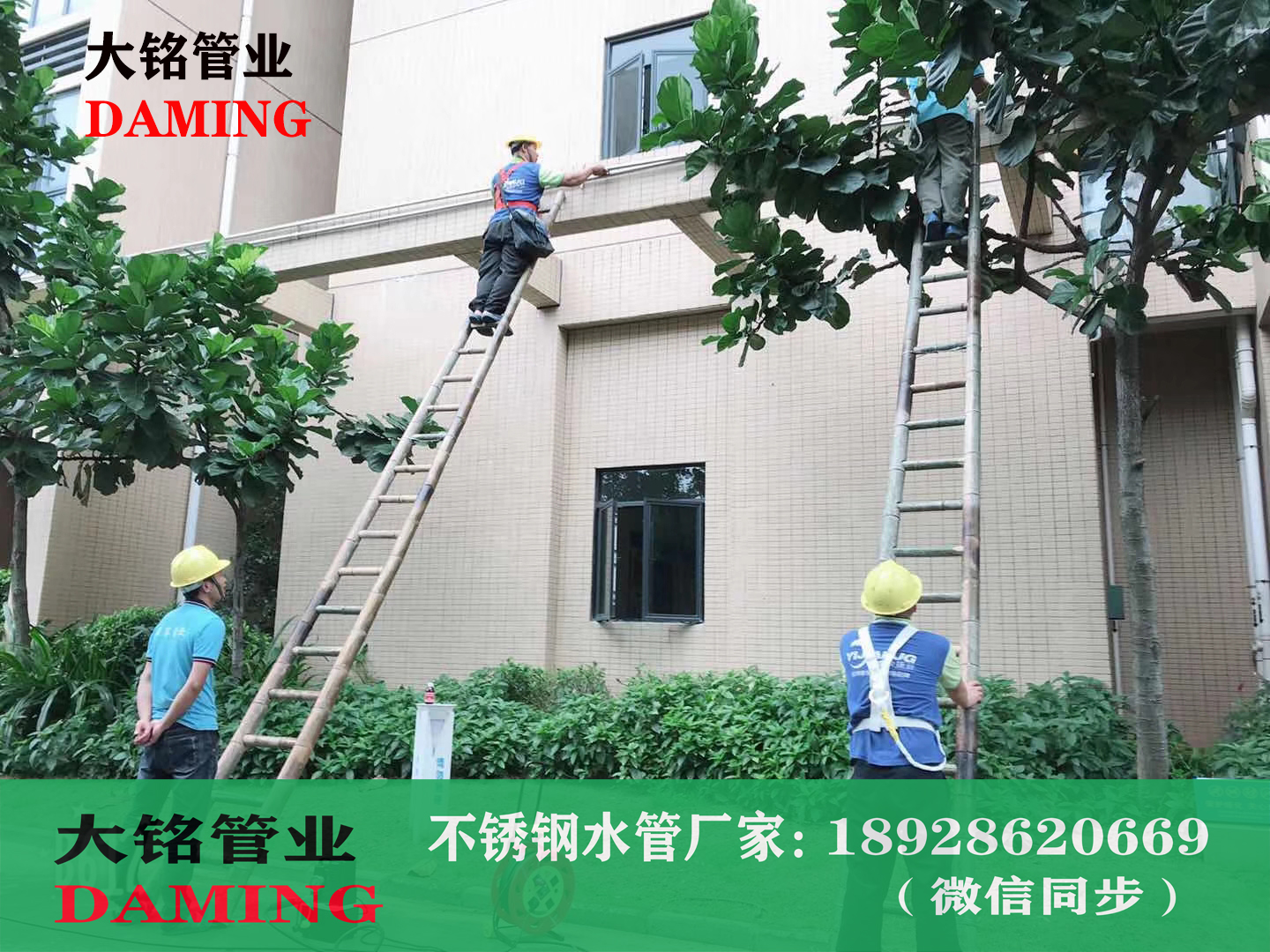 午夜天堂网集水器