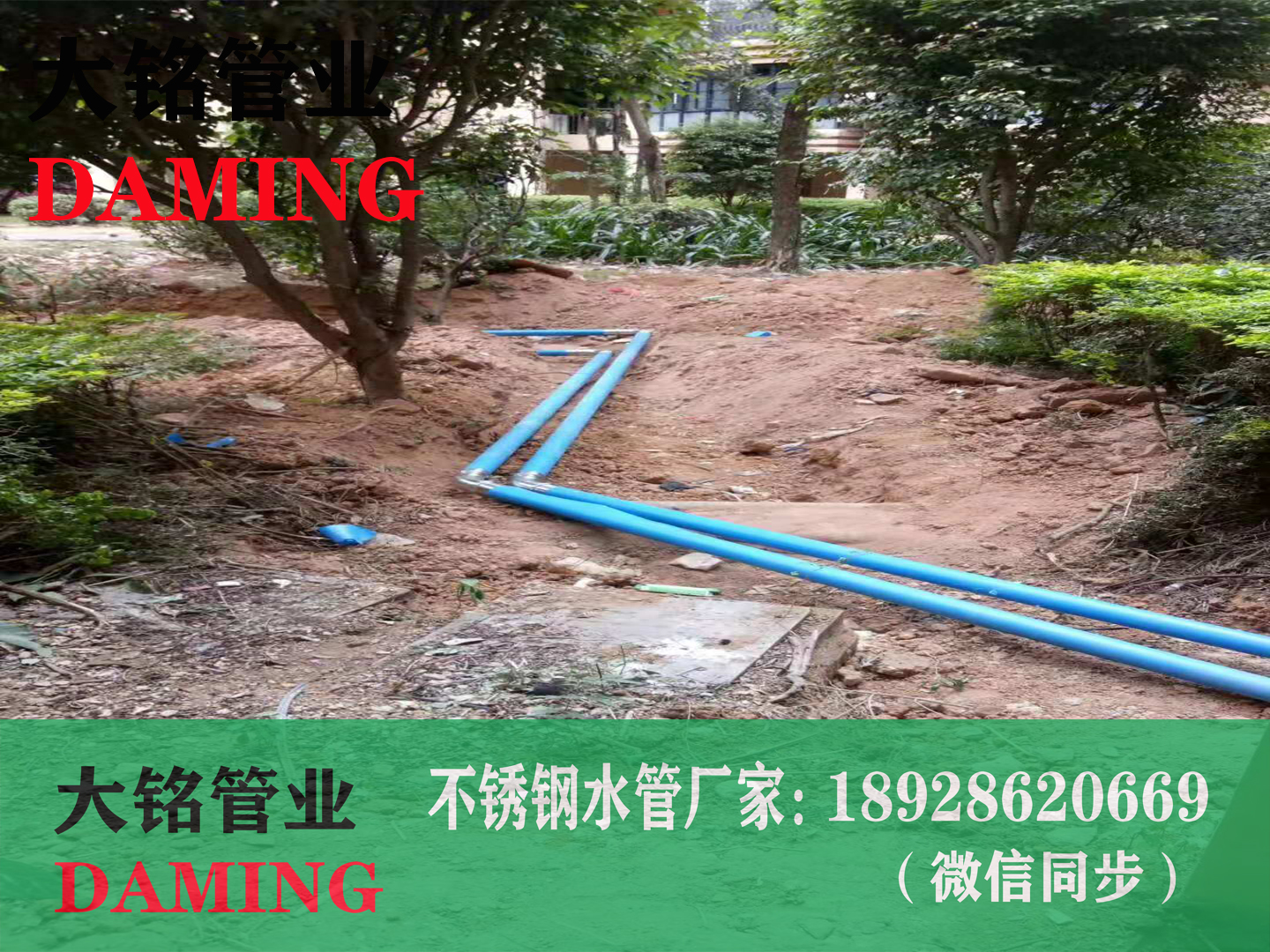 304午夜天堂网环压午夜影院网站