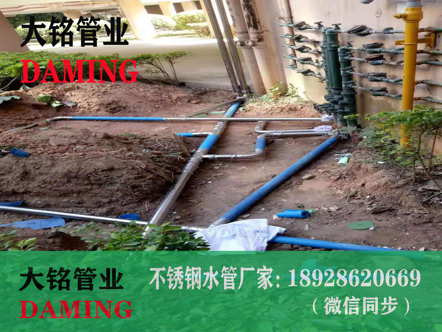 午夜天堂网三通午夜影院网站