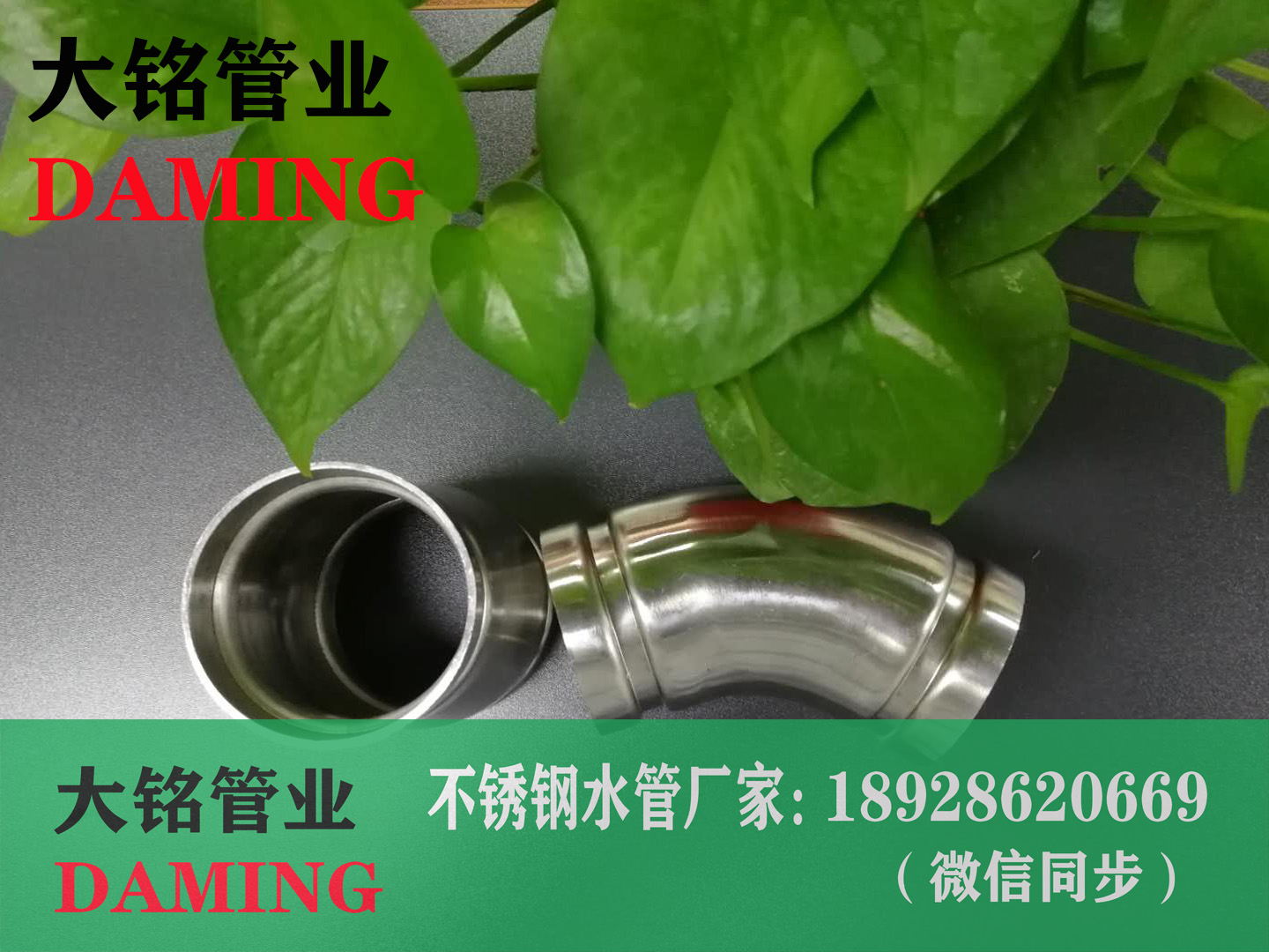 午夜天堂网沟槽午夜影院网站