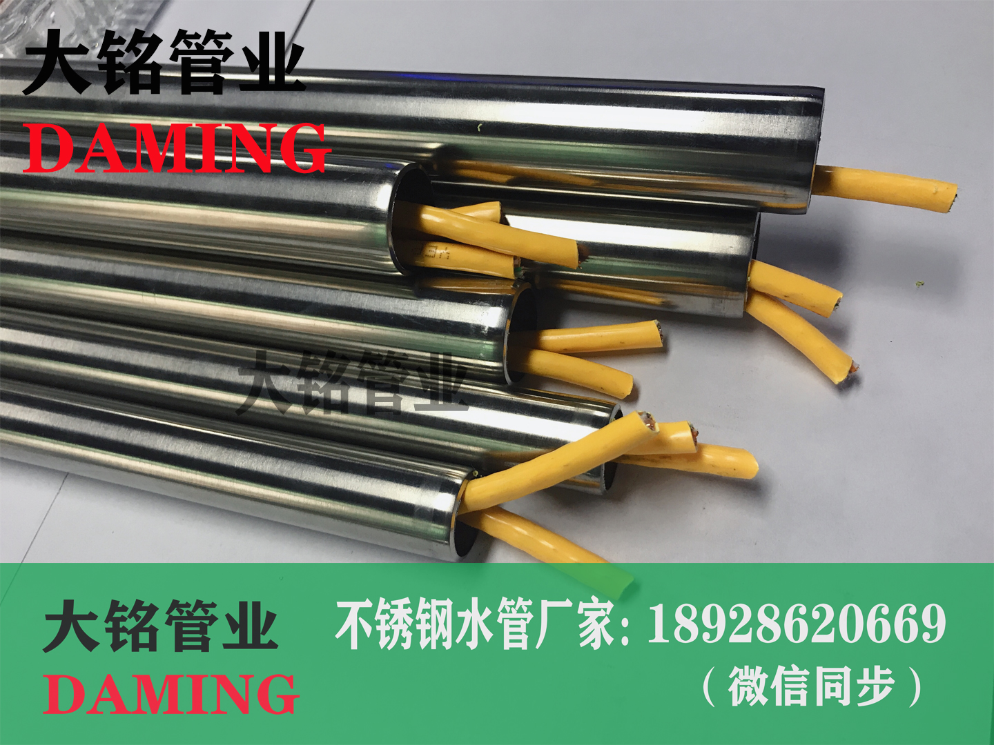 午夜天堂网线管